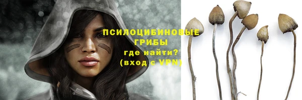 дживик Кодинск