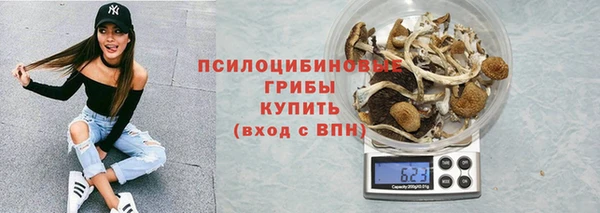 гидра Козельск