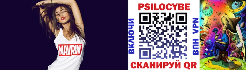 Галлюциногенные грибы Psilocybine cubensis  Купить  Сысерть 